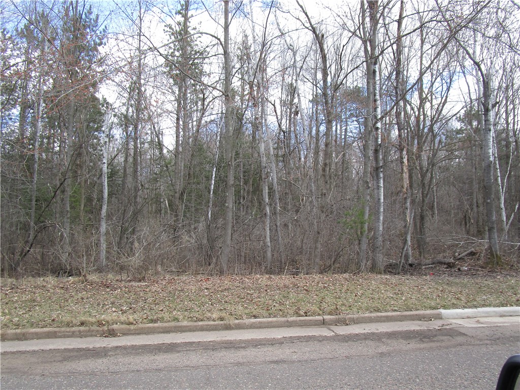 Land at 000 East 10th North, Ladysmith, WI 54848 — photo 2