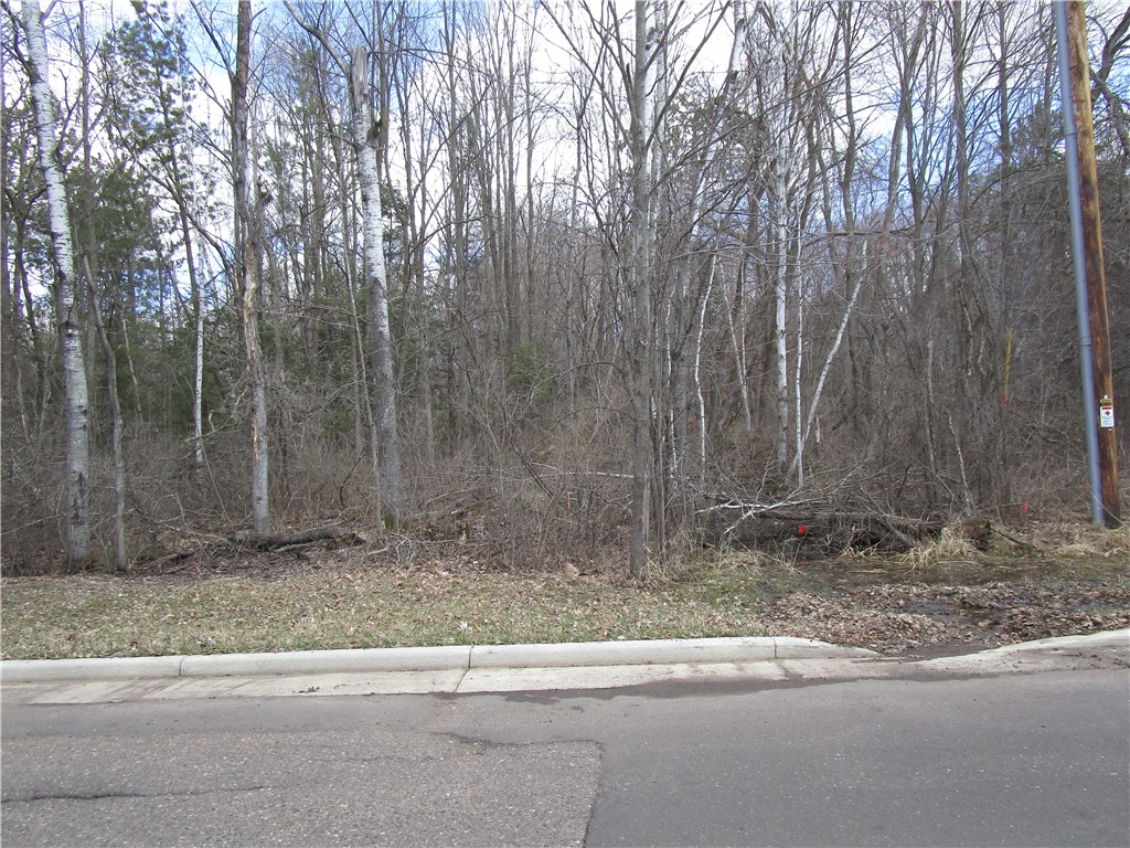 Land at 000 East 10th North, Ladysmith, WI 54848 — photo 3