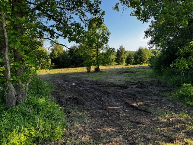 Land at 000 Granton Road, Neillsville, WI 54456 — photo 2