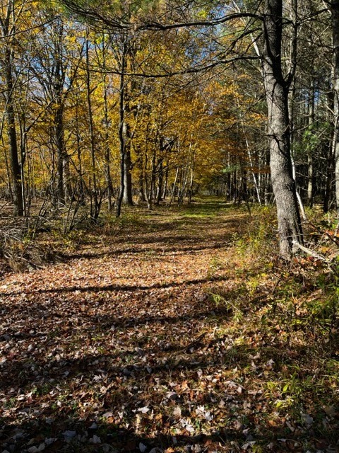 Land at 000 Granton Road, Neillsville, WI 54456 — photo 11