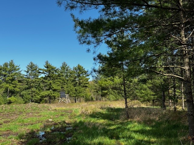 Land at 000 Granton Road, Neillsville, WI 54456 — photo 14