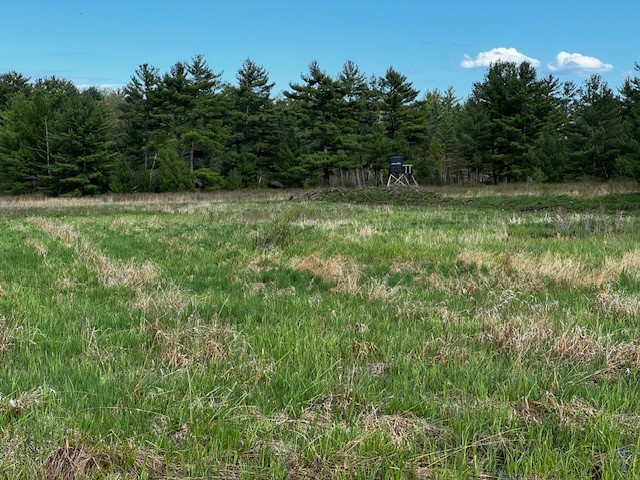 Land at 000 Granton Road, Neillsville, WI 54456 — photo 15
