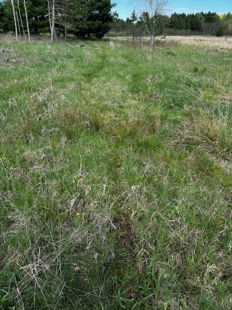 Land at 000 Granton Road, Neillsville, WI 54456 — photo 16