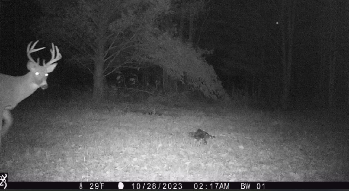 Land at 000 Granton Road, Neillsville, WI 54456 — photo 17