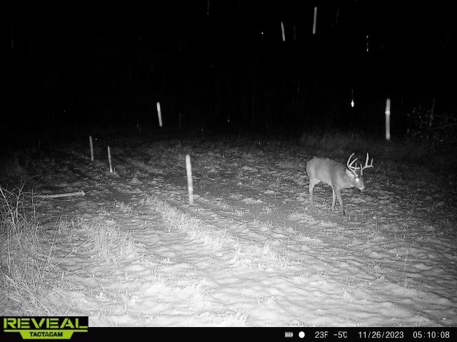 Land at 000 Granton Road, Neillsville, WI 54456 — photo 18