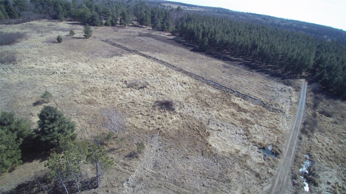 Land at 000 Granton Road, Neillsville, WI 54456 — photo 19