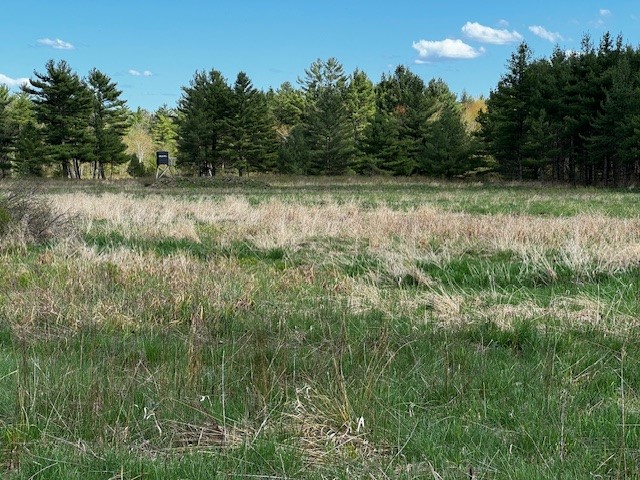 Land at 000 Granton Road, Neillsville, WI 54456 — photo 20