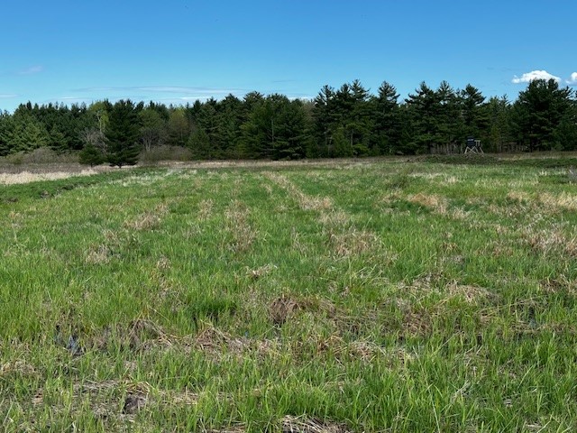 Land at 000 Granton Road, Neillsville, WI 54456 — photo 21