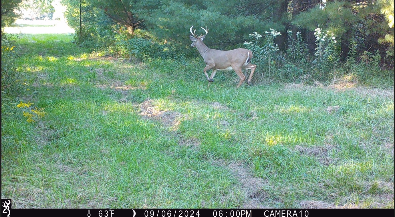 Land at 000 Granton Road, Neillsville, WI 54456 — photo 22