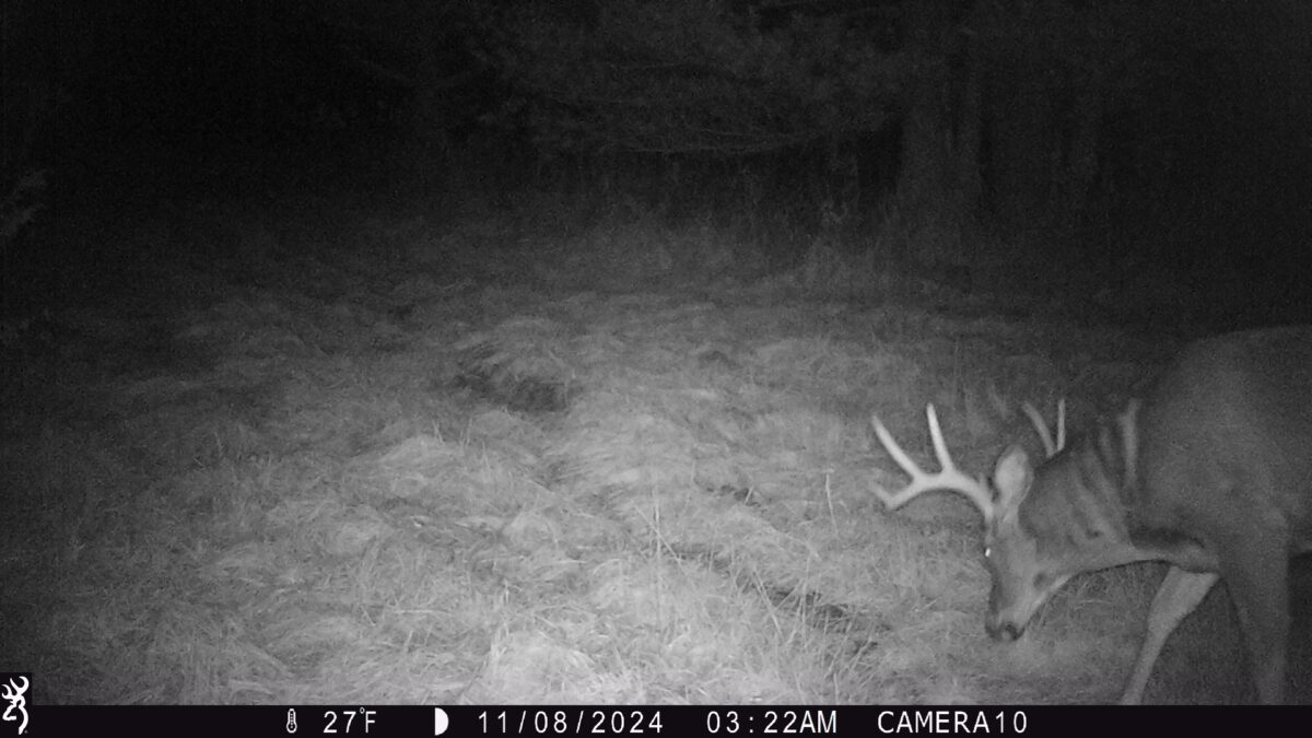 Land at 000 Granton Road, Neillsville, WI 54456 — photo 23