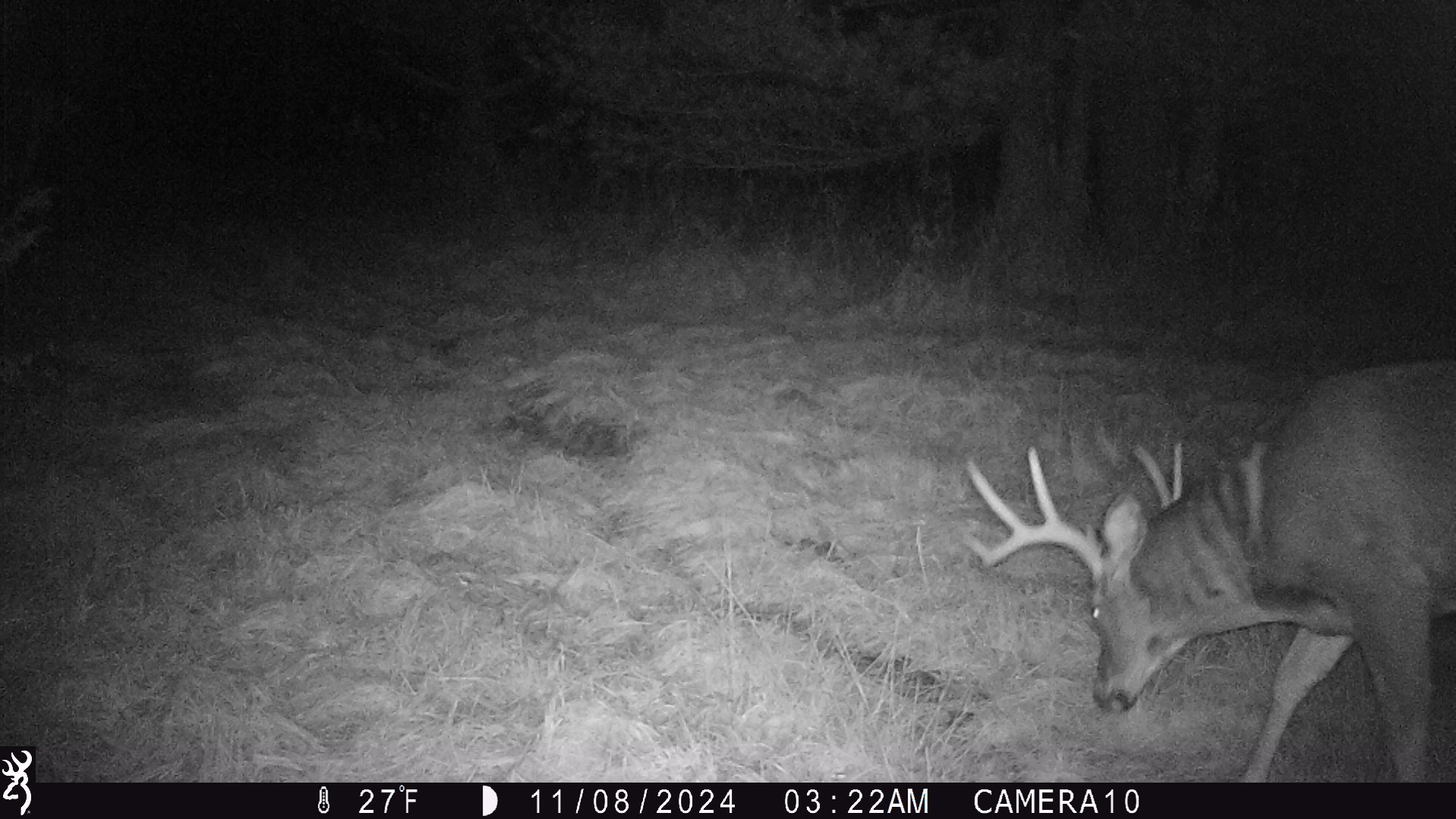 Land at 000 Granton Road, Neillsville, WI 54456 — photo 23