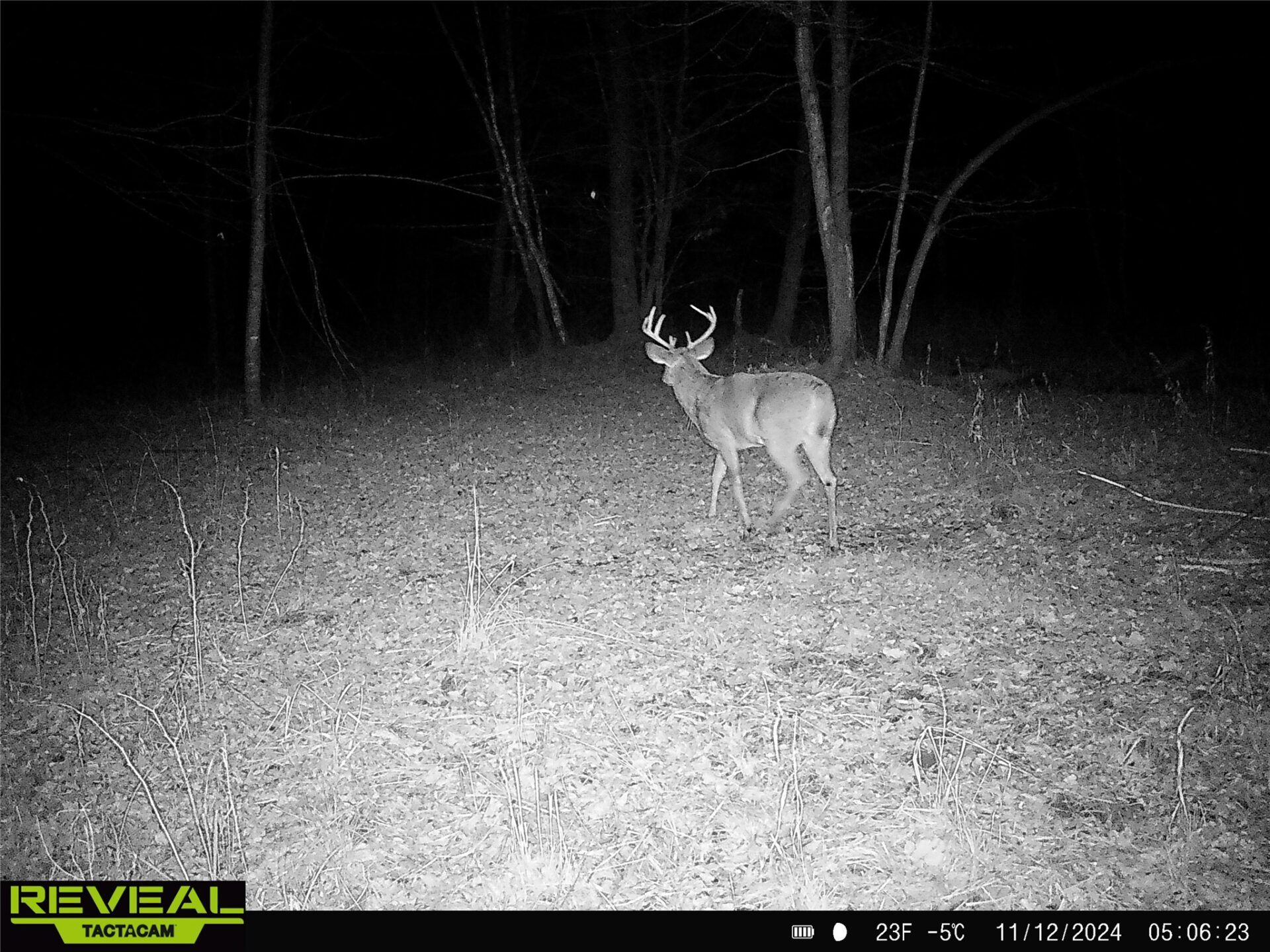 Land at 000 Granton Road, Neillsville, WI 54456 — photo 24