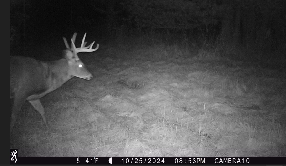 Land at 000 Granton Road, Neillsville, WI 54456 — photo 25