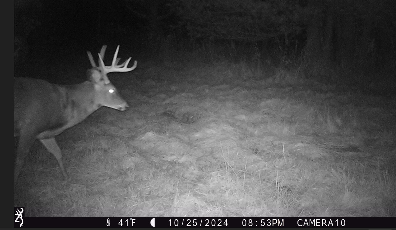 Land at 000 Granton Road, Neillsville, WI 54456 — photo 25