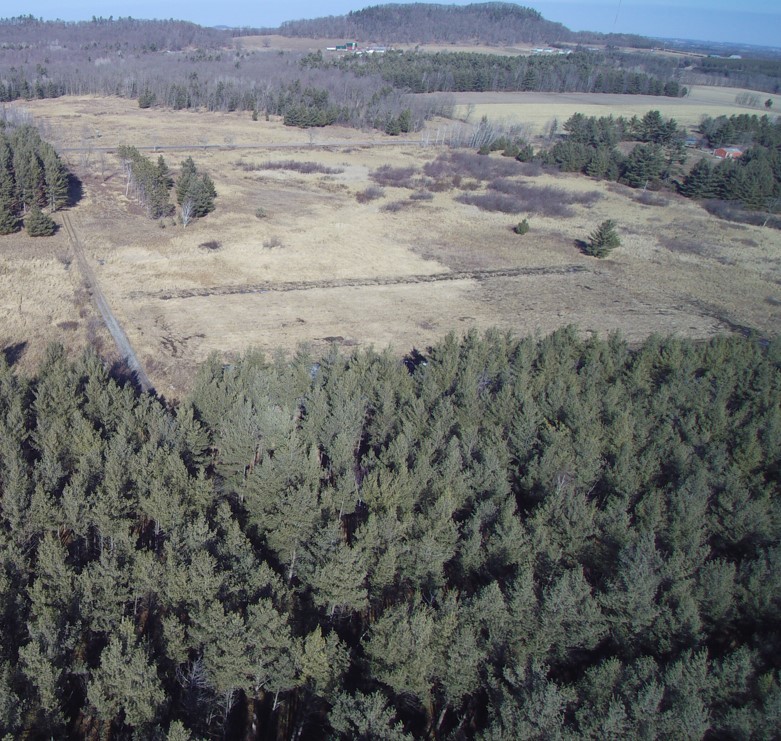 Land at 000 Granton Road, Neillsville, WI 54456 — photo 26