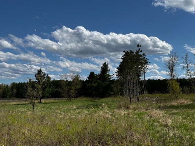 Land at 000 Granton Road, Neillsville, WI 54456 — photo 27