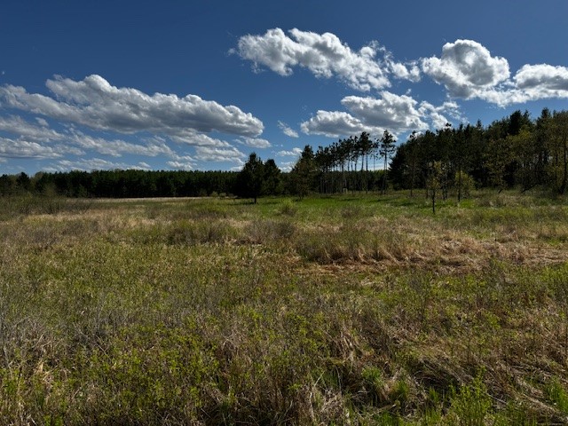 Land at 000 Granton Road, Neillsville, WI 54456 — photo 28