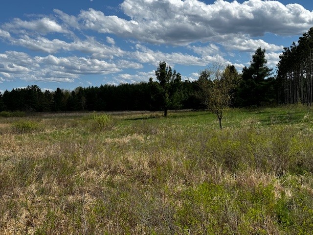 Land at 000 Granton Road, Neillsville, WI 54456 — photo 29