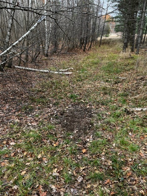 Land at 000 Granton Road, Neillsville, WI 54456 — photo 5