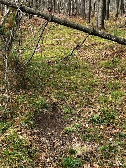 Land at 000 Granton Road, Neillsville, WI 54456 — photo 6