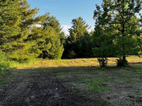 Land at 000 Granton Road, Neillsville, WI 54456 — photo 1
