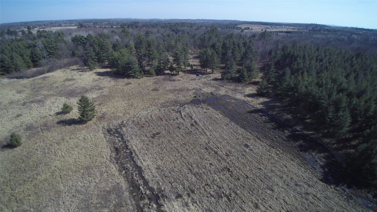 Land at 000 Granton Road, Neillsville, WI 54456 — photo 7