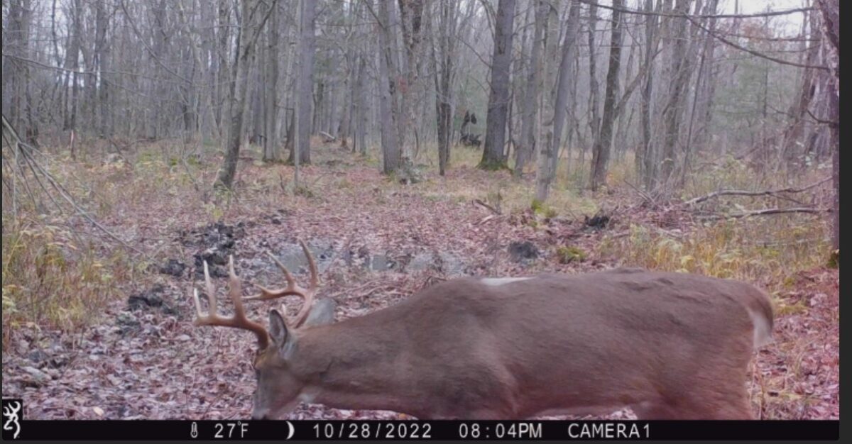 Land at 000 Granton Road, Neillsville, WI 54456 — photo 8