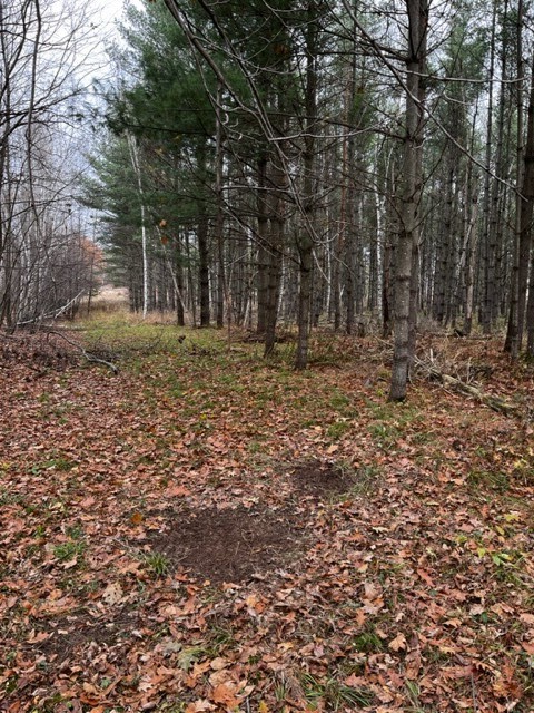 Land at 000 Granton Road, Neillsville, WI 54456 — photo 10