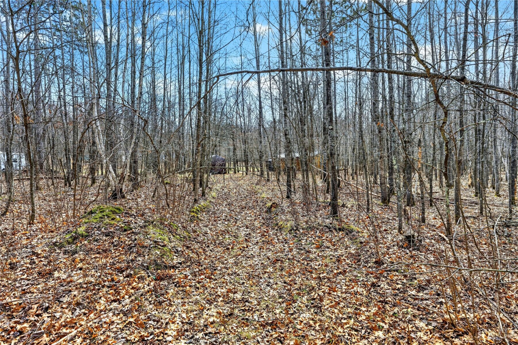 Residential at 000 Woodburn Avenue, Trego, WI 54888 — photo 6