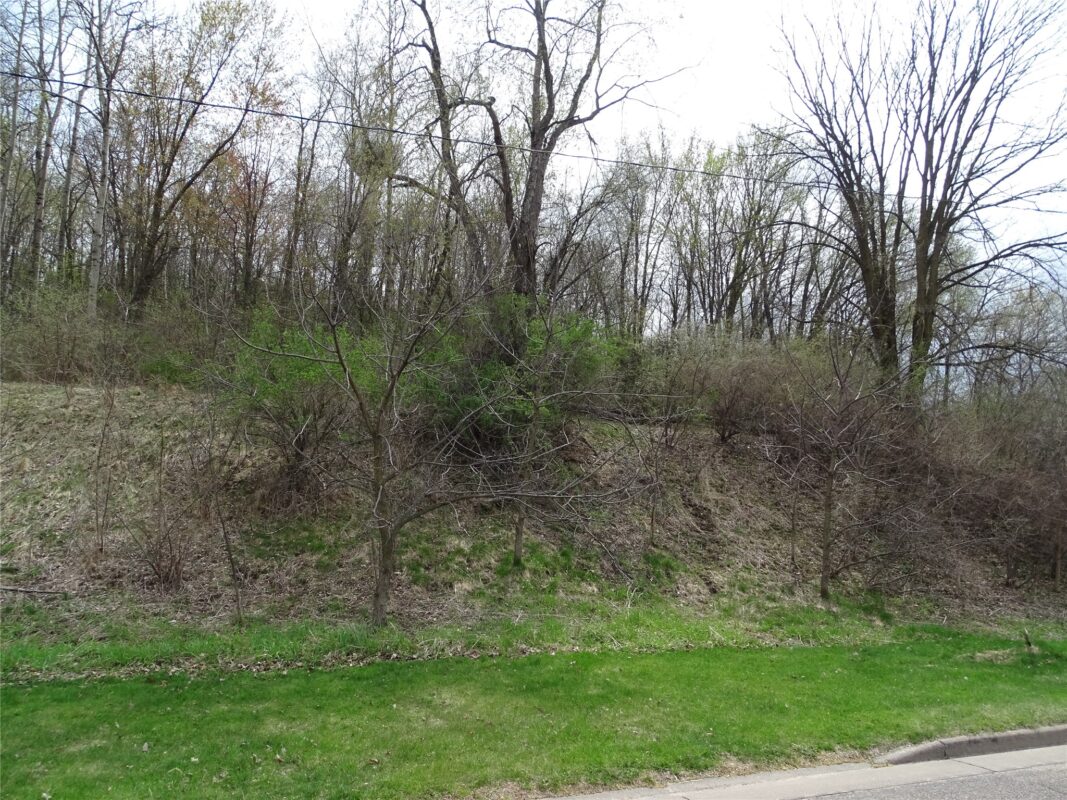 Land at 000 Auth Street, Durand, WI 54736 — photo 4