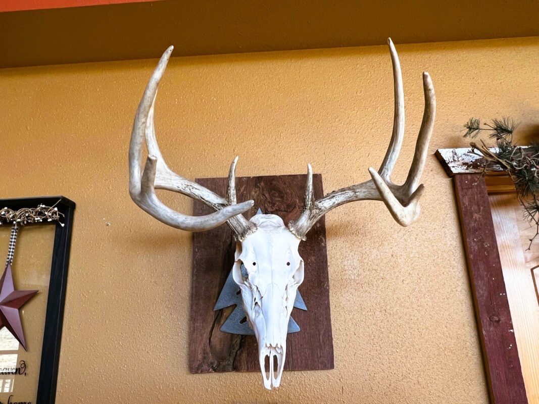 Land at 000 Pete Coulee Road, Taylor, WI 54659 — photo 10