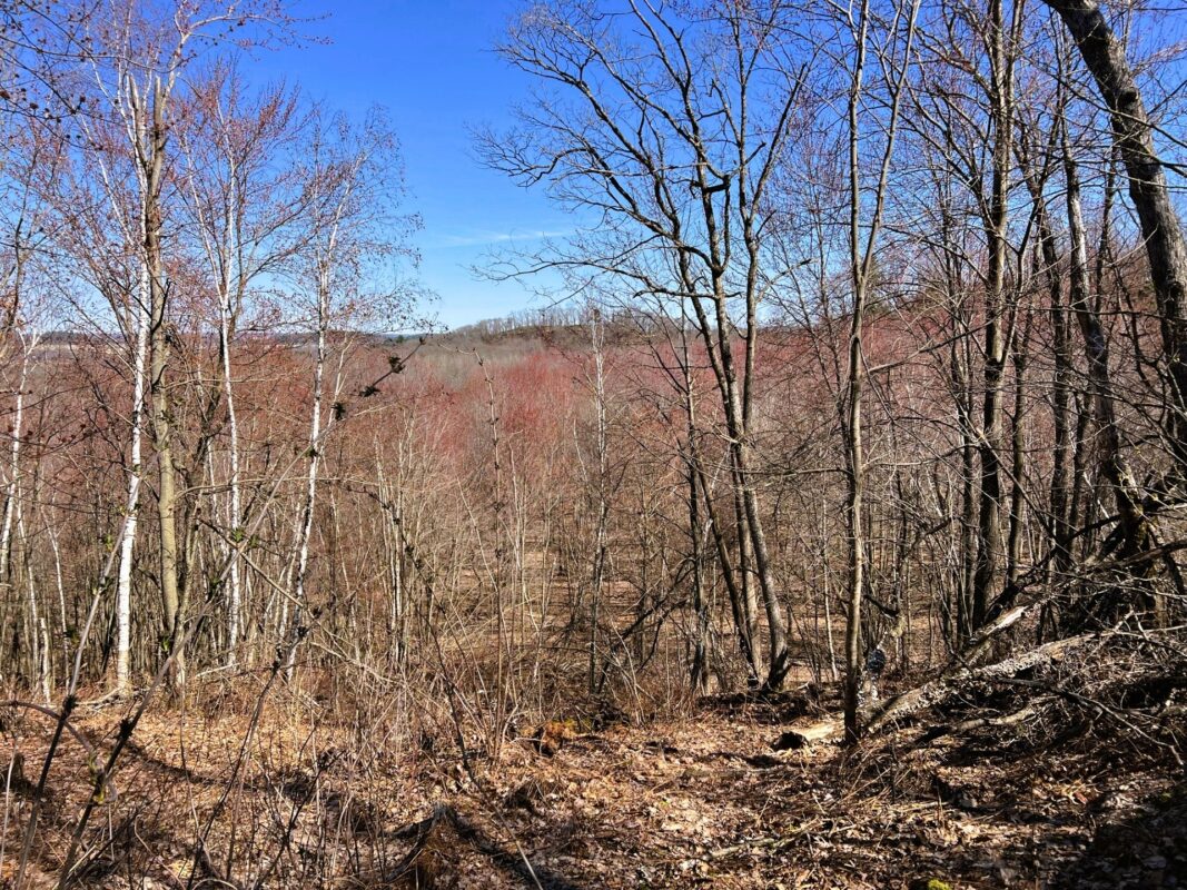 Land at 000 Pete Coulee Road, Taylor, WI 54659 — photo 11