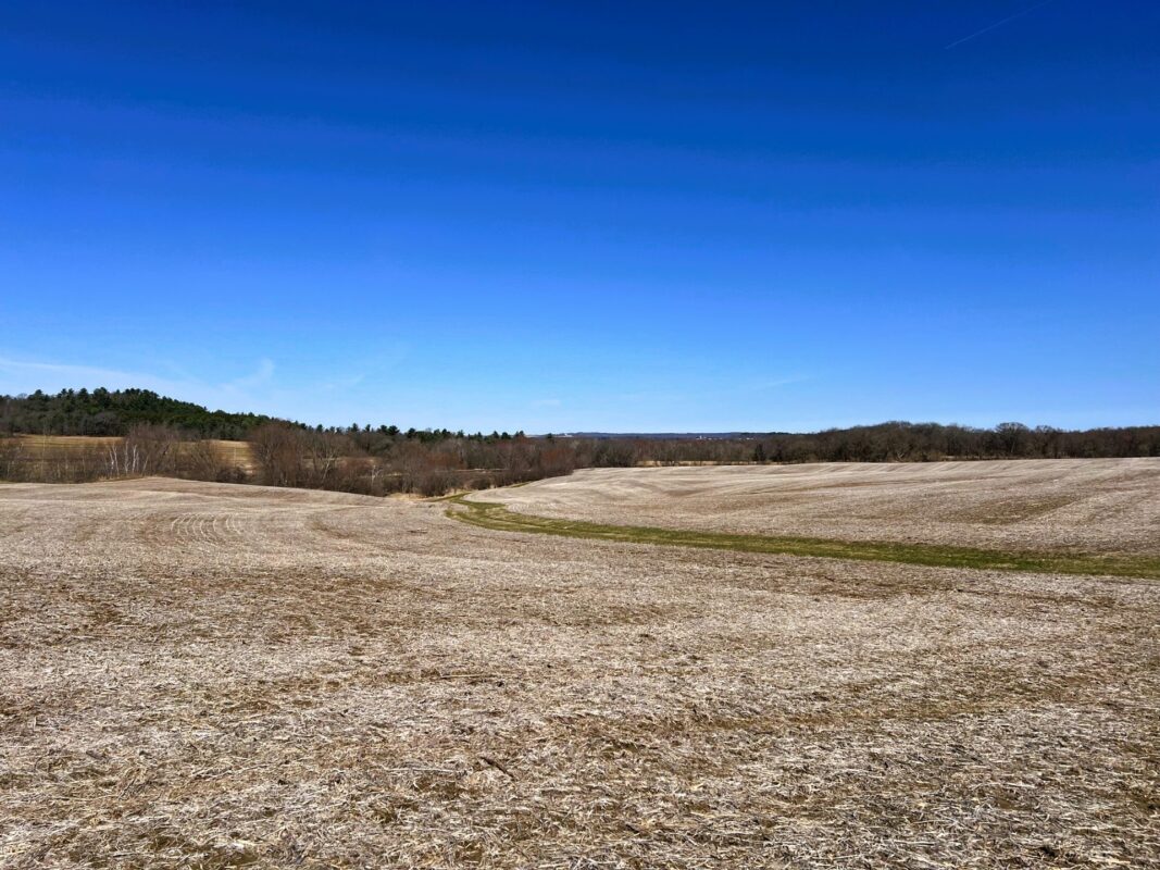 Land at 000 Pete Coulee Road, Taylor, WI 54659 — photo 13