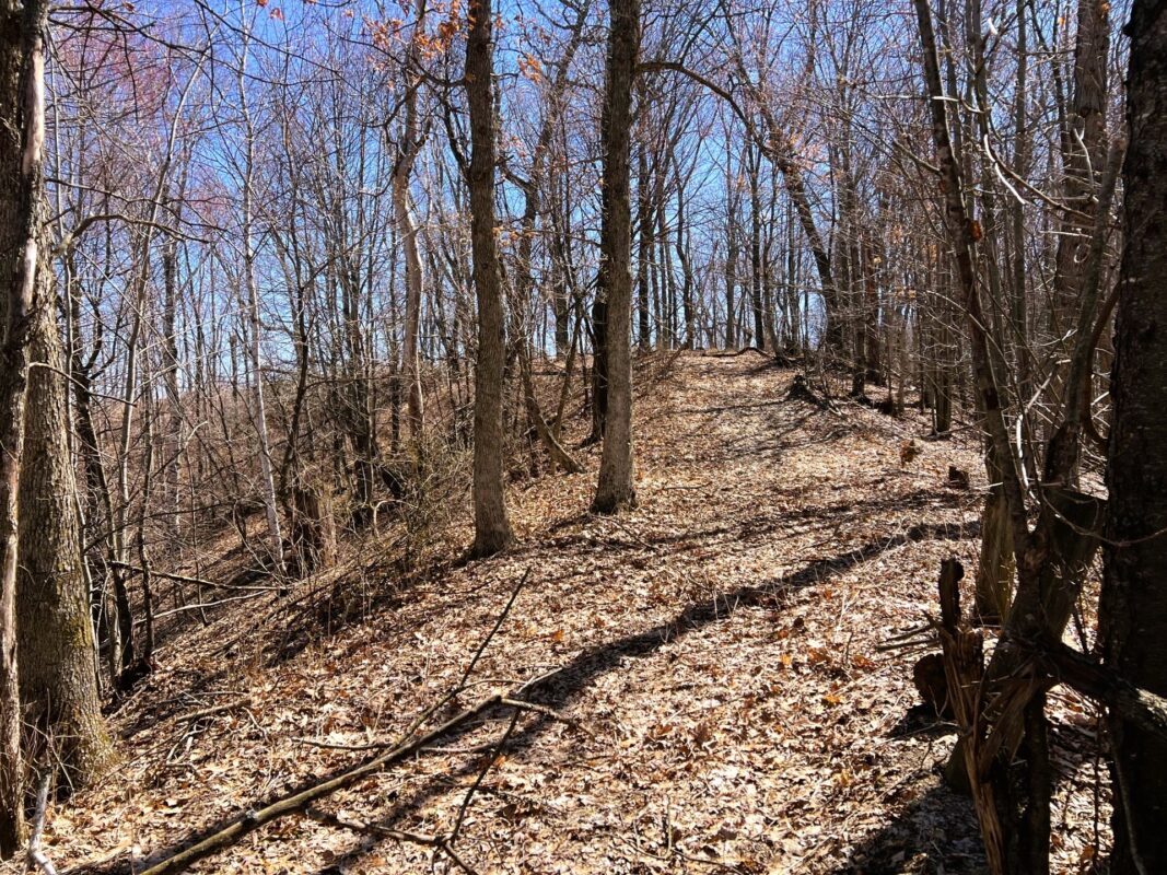 Land at 000 Pete Coulee Road, Taylor, WI 54659 — photo 14