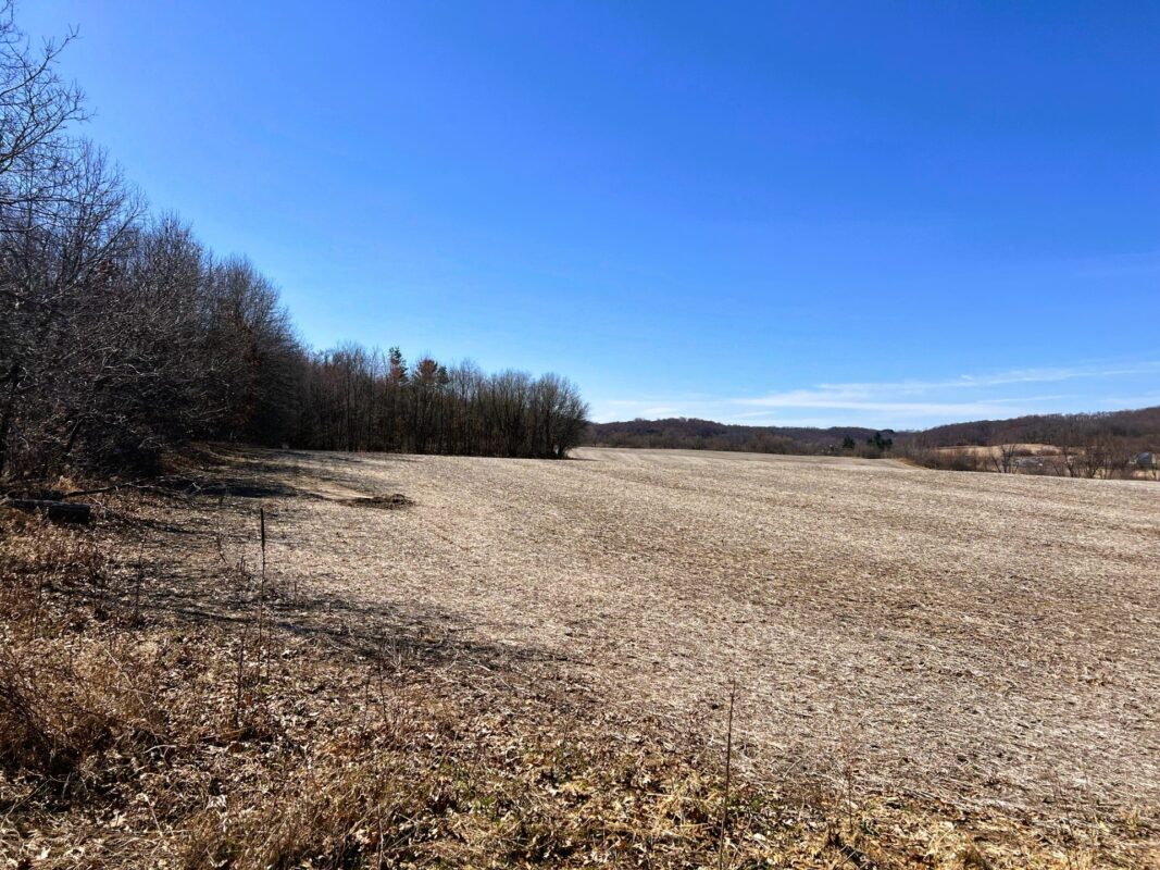 Land at 000 Pete Coulee Road, Taylor, WI 54659 — photo 19