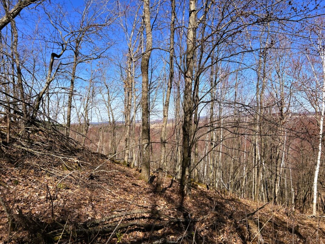 Land at 000 Pete Coulee Road, Taylor, WI 54659 — photo 2