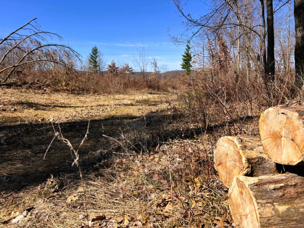 Land at 000 Pete Coulee Road, Taylor, WI 54659 — photo 20