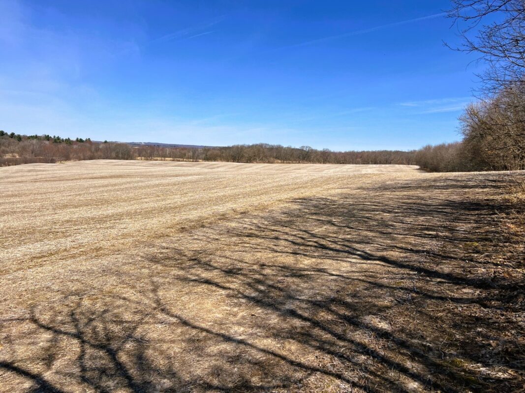 Land at 000 Pete Coulee Road, Taylor, WI 54659 — photo 21