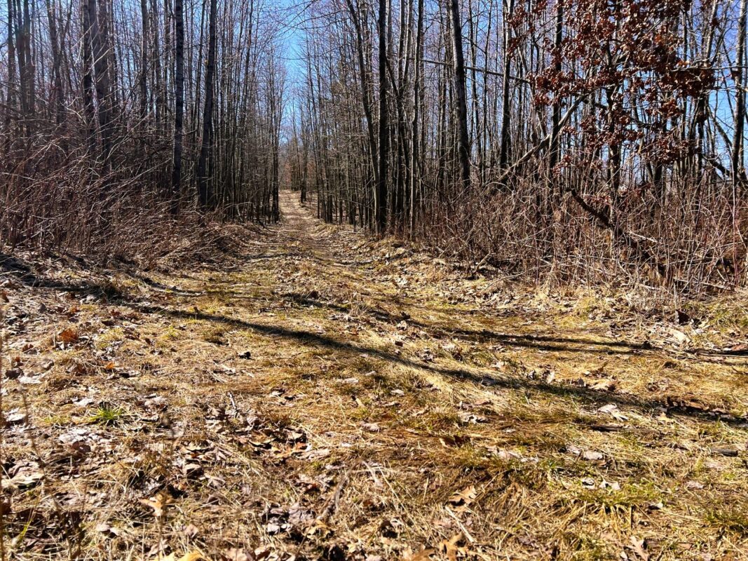 Land at 000 Pete Coulee Road, Taylor, WI 54659 — photo 22