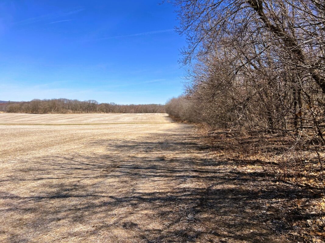 Land at 000 Pete Coulee Road, Taylor, WI 54659 — photo 23