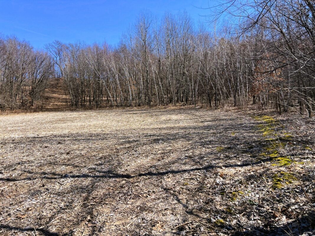 Land at 000 Pete Coulee Road, Taylor, WI 54659 — photo 25