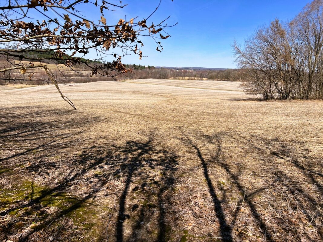 Land at 000 Pete Coulee Road, Taylor, WI 54659 — photo 27