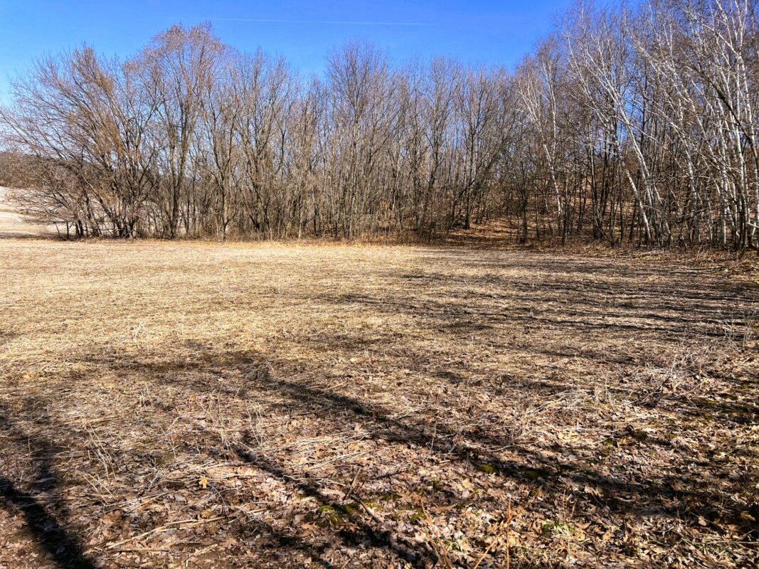 Land at 000 Pete Coulee Road, Taylor, WI 54659 — photo 29