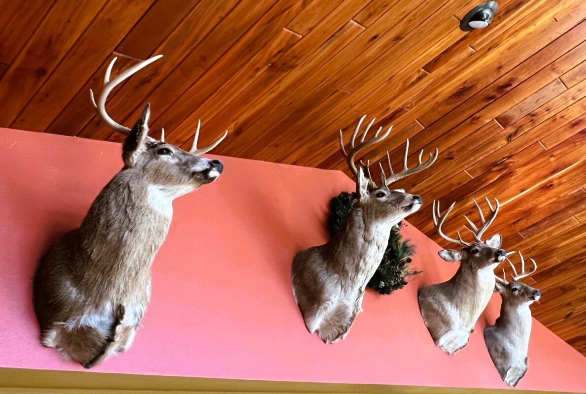 Land at 000 Pete Coulee Road, Taylor, WI 54659 — photo 3