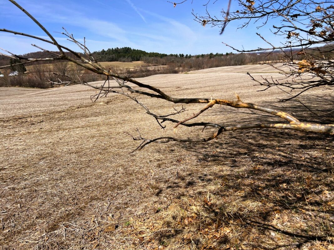Land at 000 Pete Coulee Road, Taylor, WI 54659 — photo 31