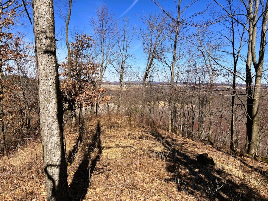 Land at 000 Pete Coulee Road, Taylor, WI 54659 — photo 35