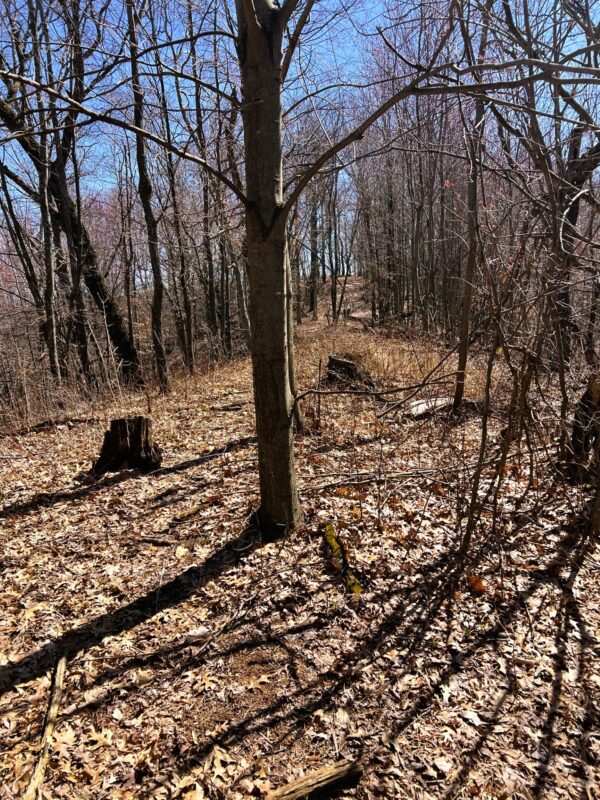 Land at 000 Pete Coulee Road, Taylor, WI 54659 — photo 36