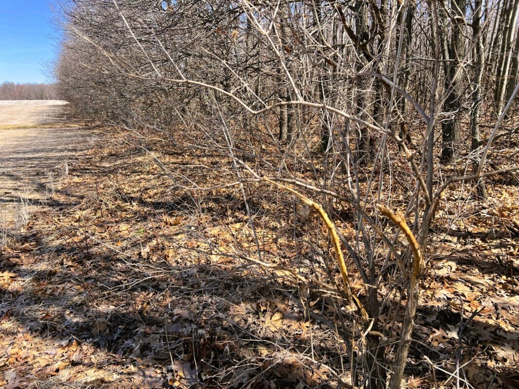 Land at 000 Pete Coulee Road, Taylor, WI 54659 — photo 37