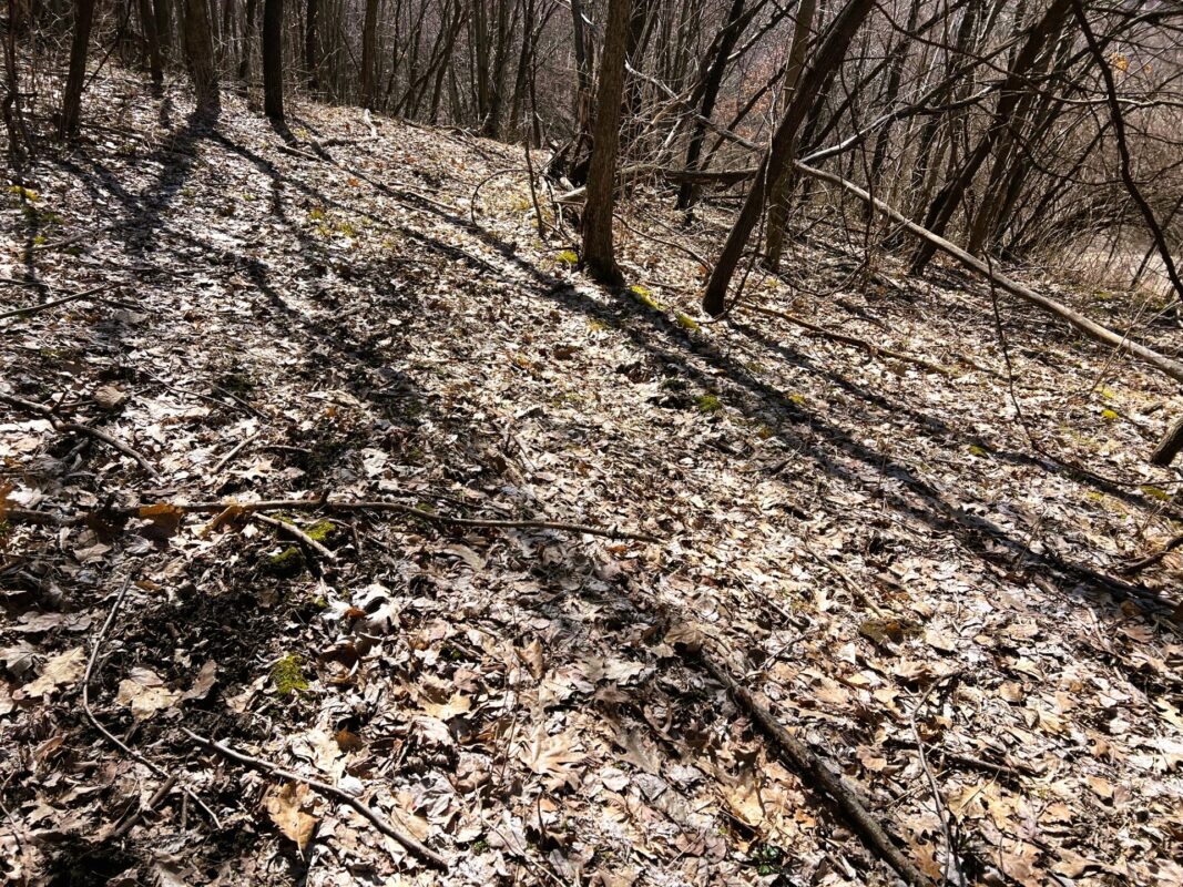 Land at 000 Pete Coulee Road, Taylor, WI 54659 — photo 38