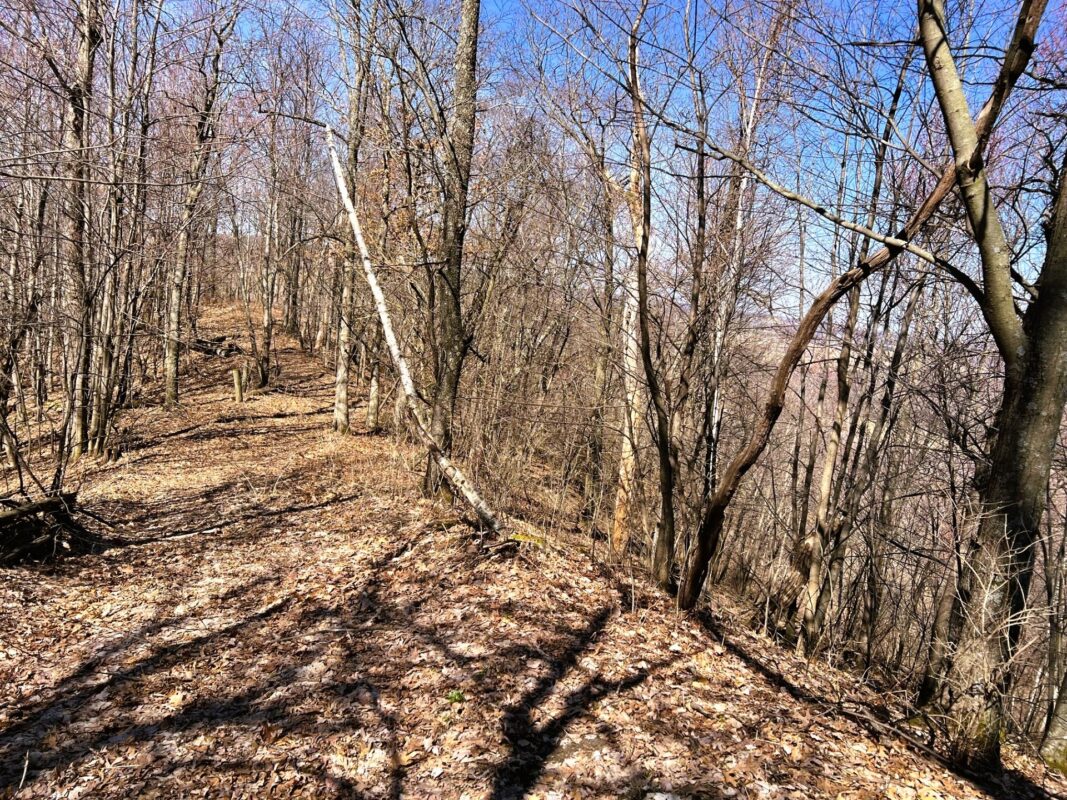 Land at 000 Pete Coulee Road, Taylor, WI 54659 — photo 39